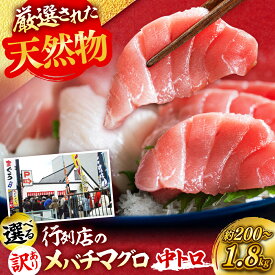 【ふるさと納税】【選べる内容量】天然 メバチマグロ 中トロ・訳あり 中トロ 計約200g/計約450g/計約900g/計約1.8kg【横須賀商工会議所 おもてなしギフト事務局（本まぐろ直売所 横須賀本店）】 冷凍 小分け まぐろ 鮪 マグロ 訳アリ わけあり [AKAK010] 1万円 10000円