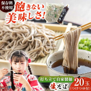 yӂ邳Ɣ[ŁzDH˂̐Ζ120g×20ʃZbg Ɛt  \o 邻  ז  o`  Ε  ߂ ˗  Nz΁yL DHˁz[AKAL003]