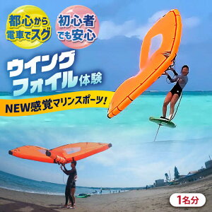yӂ邳Ɣ[Łz{ Ëvl Wing Foil (ECOtHC) ̌`Pbgi90j}X|[c TEARS WINDSURFING SCHOOLyeBA[YEChT[tBschoolzTbv XN[ }X|[