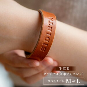 yӂ邳Ɣ[ŁzyIׂTCYzuXbg MTCYorLTCYyM.V_[^̃AgGz[AKAV013]