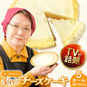 【ふるさと納税】みっちゃんの手作りチーズケーキ ホール5個 チーズケーキ チーズ ケーキ デザート 記念日 手作り 専門店 専門【横須賀商工会議所 おもてなしギフト事務局(みっちゃんの