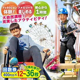 【ふるさと納税】【選べる枚数！】ソレイユの丘 回数券 400円分（12枚・24枚・36枚） 神奈川 横須賀 観光 施設 レジャーファミリー 家族旅行 アクティビティ 宿泊 公園 キャンプ アウトドア 遊具回数券【株式会社日比谷花壇】[AKBO001]