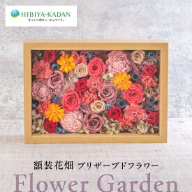 【ふるさと納税】Flower Garden　額装花畑 プリザーブドフラワー プリザーブド インテリア 日比谷花壇 花 プレゼント お祝い【株式会社日比谷花壇】[AKBO011]
