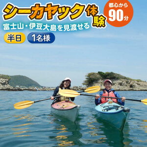 【ふるさと納税】コアアウトフィッターズ 葉山・秋谷 一人乗りシーカヤック 半日体験チケット 1名様 神奈川 横須賀 葉山 三浦半島 秋谷 レジャー 体験 観光 旅行 シーカヤック カヤック マ