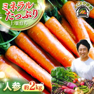 yӂ邳Ɣ[Łzys\zlQZbg 2kg yt@[z[AKCE013] 8000~ 8~ 8