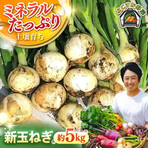 yӂ邳Ɣ[Łzys\zVʂ˂ 5kg yt@[z[AKCE019]