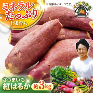 yӂ邳Ɣ[Łzys\z܂ g͂邩 3kgyt@[z[AKCE024]