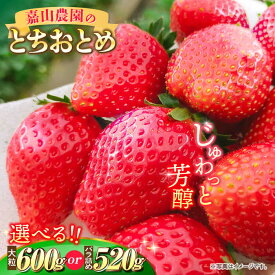 【ふるさと納税】【先行予約】【選べるパック数】【数量限定100セット】嘉山農園の完熟大粒いちご とちおとめ 300g×2パック または 嘉山農園の完熟バラ詰めいちご とちおとめ 260g×2パック イチゴ 苺 フルーツ 果物 いちご 大粒 完熟【いちごはうす嘉山農園】[AKCO001]