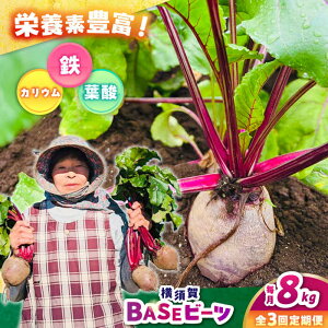 yӂ邳Ɣ[ŁzyS3ցz{BASEr[c 8kgi1kg×8܁jyqt@[zr[c {  с[ qt@[ _ [AKCR007]