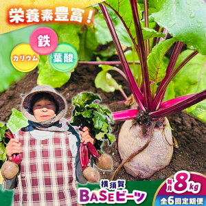 yӂ邳Ɣ[ŁzyS6ցz{BASEr[c 8kgi1kg×8܁jyqt@[zr[c {  с[ qt@[ _ [AKCR008]