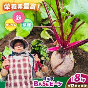 yӂ邳Ɣ[ŁzyS12ցz{BASEr[c 8kgi1kg×8܁jyqt@[zr[c {  с[ qt@[ _[AKCR009]