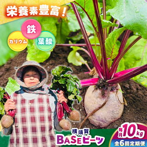 yӂ邳Ɣ[ŁzyS6ցz{BASEr[c 10kgi1kg×10܁jyqt@[zr[c {  с[ qt@[ _[AKCR011]
