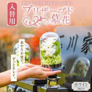 yӂ邳Ɣ[Łz֗p vU[uh(ڂ) zCg51΁yvtEsayumiz ڂ vU[uh  Q { _ސ [AKDG003] 80000~ 8~