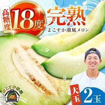 楽天市場】4L（総個数2個入り）（メロン｜フルーツ・果物）：食品の通販