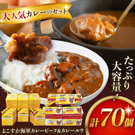 【ふるさと納税】レトルトよこすか海軍カレービーフ 200g×40個・よこすか海軍カレールウ 150g×30個 セット【横須賀商工会議所 おもてなしギフト事務局（株式会社ヤチヨ）】カレー カレールウ レトルトカレー 横須賀 軍艦 海軍 非常食 保存食 [AKDZ004]