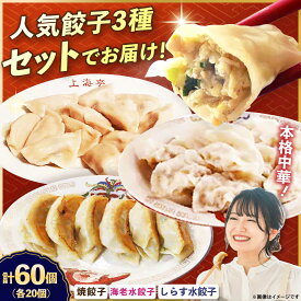 【ふるさと納税】【テレビで紹介されました！】冷凍 海老水餃子 しらす水餃子 焼餃子 3種 60個 ジューシー モチモチ 自家製 餃子 ぎょうざ【横須賀商工会議所 おもてなしギフト事務局（上海亭）】お取り寄せ おかず つまみ ビール 簡単 本格 肉汁 えび ギョーザ [AKED009]