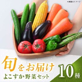 【ふるさと納税】横須賀産野菜セット 10種 詰め合わせ【横須賀商工会議所 おもてなしギフト事務局（三浦半島直売所）】野菜 セット 詰め合わせ 横須賀 横須賀野菜 キャベツ 玉ねぎ ブロッコリー なす にんじん きゅうり さつまいも 里芋 ゴーヤ 大根 ほうれん草 [AKES003]