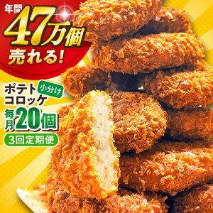yӂ邳Ɣ[ŁzyS3ցz|egRbP 20 1.2kg y ٓ p[eB[   {yOxЁz[AKFJ026]