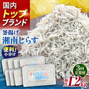 yӂ邳Ɣ[ŁzyS3ցzg炷1.2kgi150g×8pbNj炷 VX g ܂   Y Ⓚ  ͂  _ސ쌧 {sy˂ېYz[AKFL006]