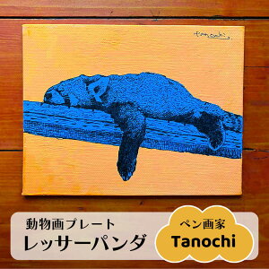 yӂ邳Ɣ[ŁzibT[p_jv[g F0TCY v[gɂ Tanochi A[g CeA bT[p_y{ꏤHc ĂȂMtgǁîjz[AKFM003]