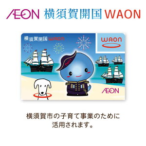 yӂ邳Ɣ[Łz{JWAONJ[h WAON I J[h IJ[h CI AEON _ސ { S |CgyCIe[Ёz [AKFN001] 2000~ 2~ 2