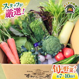 【ふるさと納税】よこすか野菜セット すかなボックス 野菜 お野菜 季節野菜 やさい 詰め合わせ 詰合せ セット お楽しみ 産地直送 旬 厳選 すかなごっそ 農産物 神奈川県 横須賀市【JAよこすか葉山】[AKFO001]