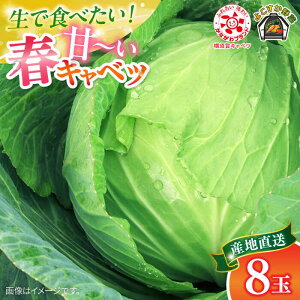 yӂ邳Ɣ[Łzys\z悱 tLxc 8ʓ Lxc tLxc ׂ  { T_ ̂ꂽ VN Y  Ȃ _ސ쌧 {syJA悱tRz[