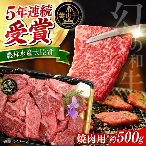 yӂ邳Ɣ[Łzy①ł͂ztR ēp؂藎ƂZbg 500g@yJA悱tRz[AKFO011]