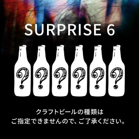 【ふるさと納税】クラフトビール おまかせ6本（3種×2本）セット SURPRISE 6 ビール お酒 さけ 瓶 瓶ビール びーる 麦酒 宅飲み 晩酌 クラフトビール 横須賀【GRANDLINE BREWING】[AKGM004]