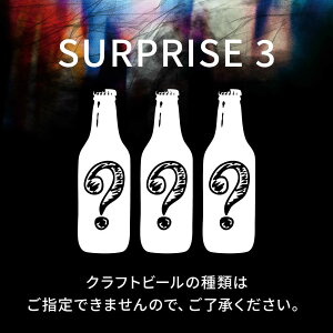 yӂ邳Ɣ[ŁzNtgr[ ܂3{Zbg SURPRISE 3yGRANDLINE BREWINGz[AKGM005]