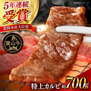 yӂ邳Ɣ[Łzyʌz tR Jr ēp v700gi350g×2pcj ē ₫ɂ Ă  Ⓚ  Jr o[xL[ a  {yRXJ}VFEkoshikiya