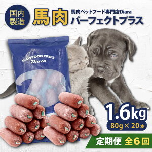 yӂ邳Ɣ[ŁzyS6ցz yLpEybgpznp[tFNgvX@800g×2(80g×20{)@ybgt[h@nybgt[h@yfBAz[AKGU009]