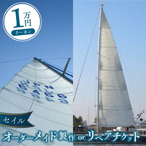 yӂ邳Ɣ[ŁzZC I[_[Ch yA `Pbg 1~ Z[O bg ZC ytbhZCCJ[XWpЁz[AKHD001]