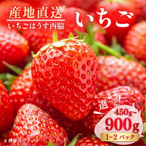 yӂ邳Ɣ[Łzys\zyʌ100ZbgzyIׂpbNEeʁz 450g`900gy͂ez[AKHO001]