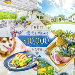 �y�ӂ邳�Ɣ[�Łz�y���ʌ���100�Z�b�g�zTHE HOUSE FARM ���H���� 10000�~���y�������THE HOUSE�z[AKHY001]