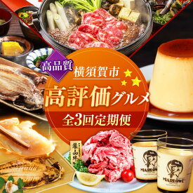 【ふるさと納税】【全3回定期便】横須賀 高評価 定期便[AKZZ030]