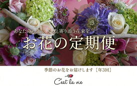 【ふるさと納税】 【定期便】年3回 バラ アレンジメントSフレンチスタイル 花 薔薇 お花 生花 フラワー 葉 誕生日 贈り物 季節 植物 記念日 新鮮 ギフト プレゼント 色 お取り寄せ 送料無料 神奈川県 平塚市