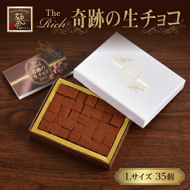 【ふるさと納税】 生チョコ Lサイズ 35粒 ベルギー 人気 スイーツ スウィーツ sweets なまちょこ ナマチョコ チョコレート chocolate カカオ お菓子 洋菓子 おすすめ 口溶け なめらか ご褒美 お返し ギフト プレゼント 贈り物 ふるさと納税チョコ みずほ野 神奈川県 平塚市