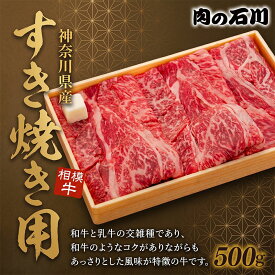 【ふるさと納税】 相模牛 肩 ロース 500g すき焼き すきやき用 0.5kg (500g) | 肉 牛肉 ブランド牛 黒毛和牛 国産 BBQ バーベキュー 高級 厳選 のうこう ギフト 取り寄せ グルメ 送料無料 (TIH004)
