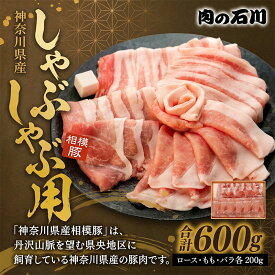 【ふるさと納税】 豚肉 神奈川県産 相模豚 しゃぶしゃぶ用 600g ロース もも バラ ( 各 200g × 3 ) 食べ比べ 豚ロース 豚バラ 豚もも しゃぶしゃぶ 豚しゃぶ 豚 肉 にく 夕食 晩ごはん 贅沢 人気 お取り寄せ 贈り物 株式会社 泰平 湘南 神奈川県 平塚市 お肉 鍋用 お祝い