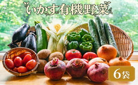 【ふるさと納税】 野菜 いかす有機野菜 6袋 野菜 有機野菜 やさい yasai 詰め合わせ 野菜詰合せ 詰め合わせセット セット 産直 産地直送 有機野菜詰合せ 野菜セット 有機 地場野菜 旬 季節 旬の野菜 国産 新鮮野菜 ふるさと納税野菜 送料無料 神奈川県 平塚市 いかす