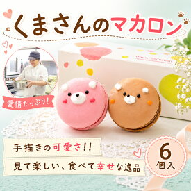 【ふるさと納税】 マカロン 6個入り 詰め合わせ お菓子 フルーツ スイーツ デザート 洋菓子 ギフト お土産 プレゼント ごほうび 焼き菓子 贈答用 手書き 動物 おすすめ かわいい 子ども 自分 ご褒美 美味しい ティータイム いちご チョコレート マ・コピーヌ 神奈川県 平塚市