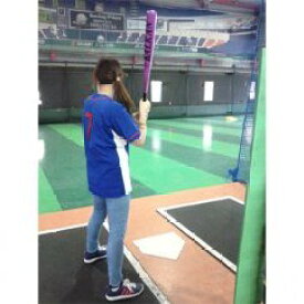 【ふるさと納税】バッティングパレス10ゲームチケット 体験チケット