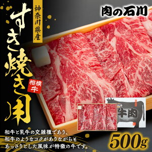 yӂ邳Ɣ[Łz_ސ쌧Y ͋ Ăp 500g ̐ΐ Ђ̓X  [X XCX јa  uh ~ O Mtg Y  _ސ쌧 