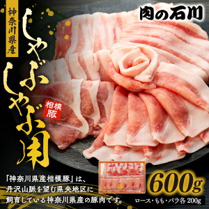 yӂ邳Ɣ[Łz_ސ쌧Y ͓ ̐ΐ Ԃԗp [X ؃[X   o uh  ؓ p 蕨 [H c j Ђ̓X  _ސ쌧 