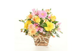 【ふるさと納税】 生花 薔薇 ガーベラ フラワーアレンジメント ばら バラ カジュアル アレンジ フラワー 花 贈答 誕生日 記念日 贈り物 ギフト 贈答用 母の日 敬老の日 お祝い 華 お花 おしゃれ プレゼント 花籠 送料無料 ホテル サンライフガーデン 湘南 平塚市 神奈川県