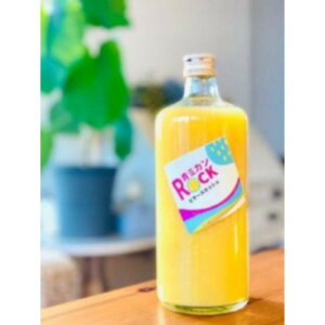 yӂ邳Ɣ[Łz_ސSDG's@~JROCKr^[XJbV@6{Zbg