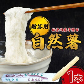 【ふるさと納税】自然薯 贈答用自然薯 じねんじょ養強壮 化粧箱 神奈川県 平塚市　お届け：2025年11月～2026年7月中旬まで