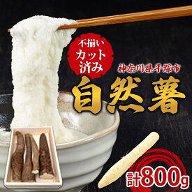 【ふるさと納税】自然薯 カット自然薯 じねんじょ養強壮 化粧箱 神奈川県 平塚市　お届け：2025年11月～2026年7月中旬まで