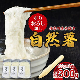 【ふるさと納税】自然薯 冷凍自然薯（すりおろし加工済） じねんじょ養強壮 化粧箱 神奈川県 平塚市　お届け：2025年11月～2026年7月中旬まで
